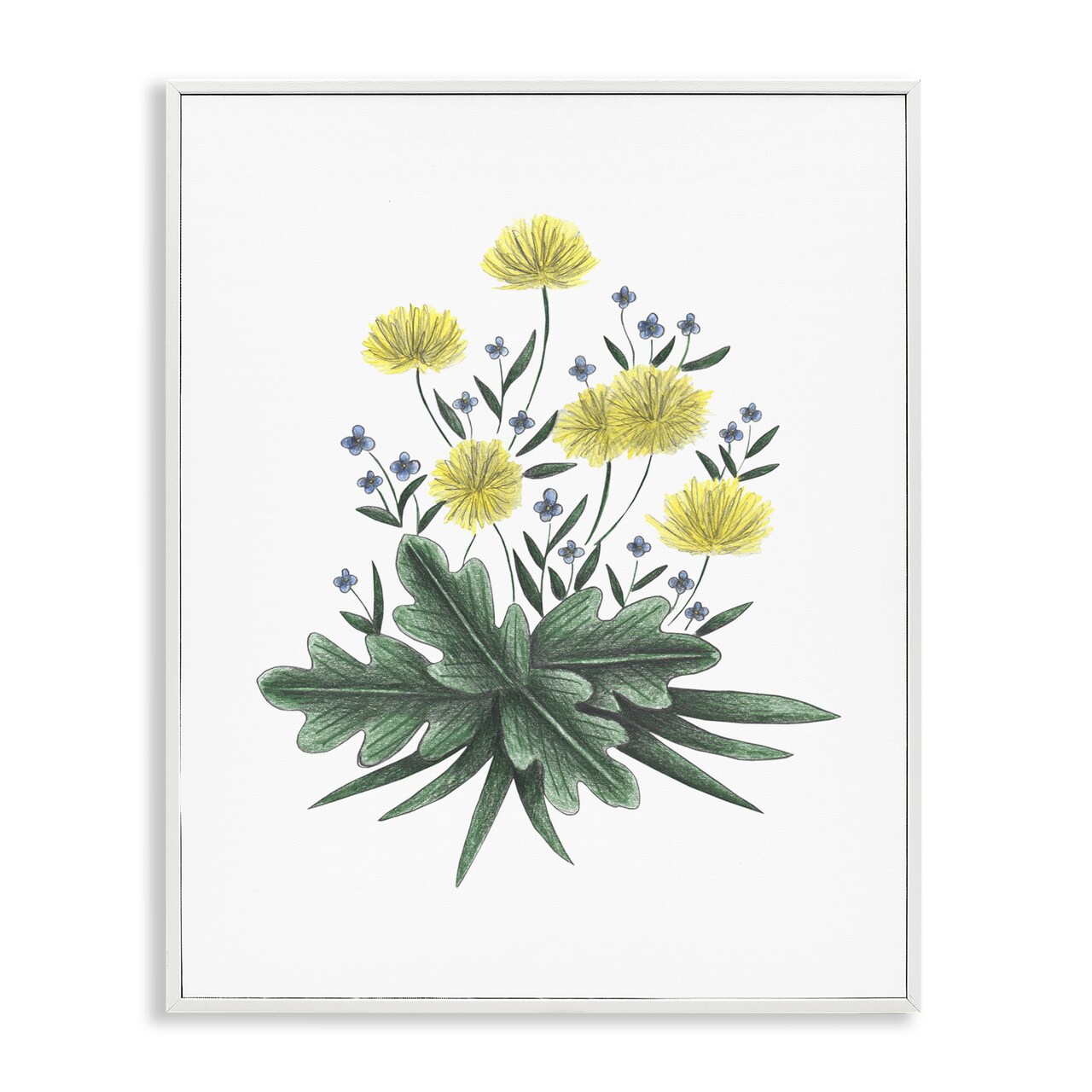 Stupell Industries Dandelion Flower Illustration Framed Giclee, design by Cecilia Battaini